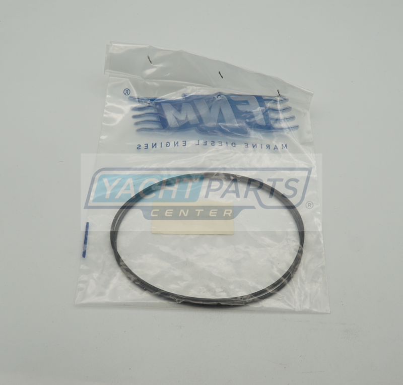 FNM 4.128.039.1 ORIGINAL SEAL RING OR D.120.33X2.62